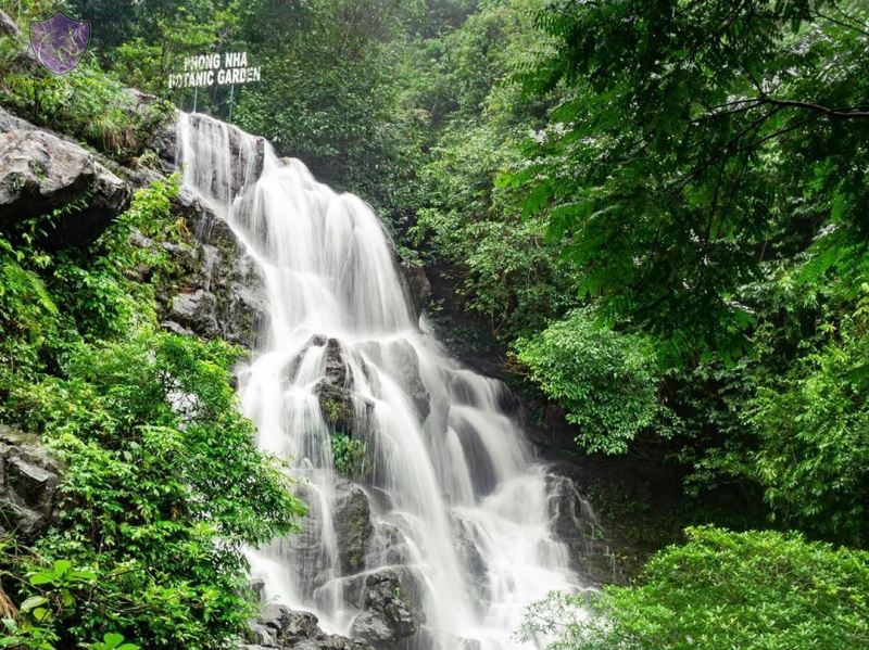 Phong Nha Botanic Garden