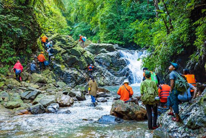 Trekking in the jungle