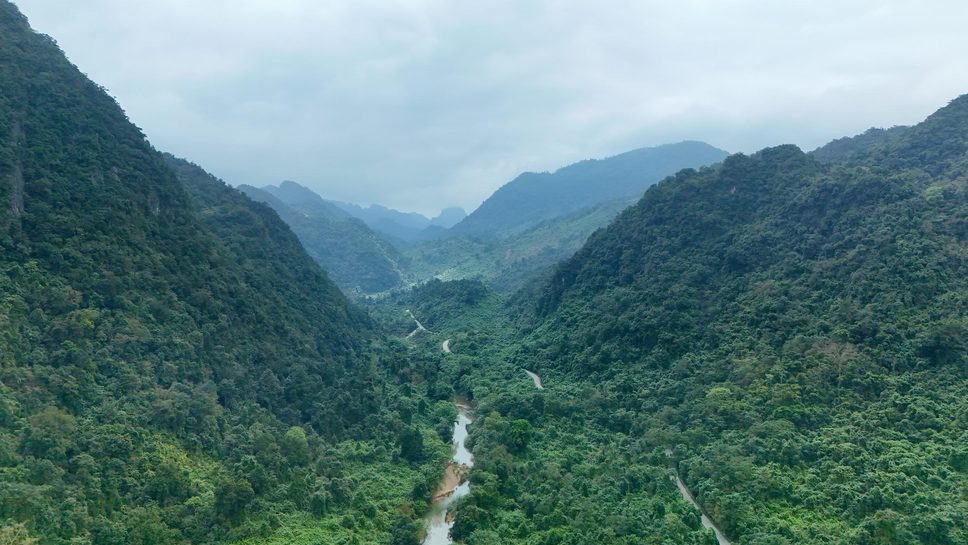 Tropical forest scenery during trekking season in Phong Nha